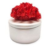 صندوق ديكور المرجان- أحمر
