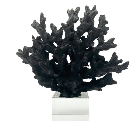 Coral Decor-Black