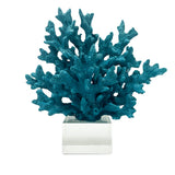 Coral Decor - Turquoise
