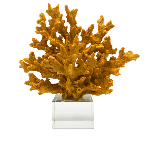 Coral Decor-Mustard
