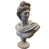 Apollon Statue Gray