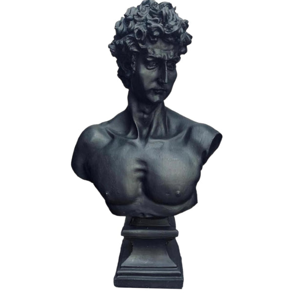 David of Michelangelo Statue - Croma