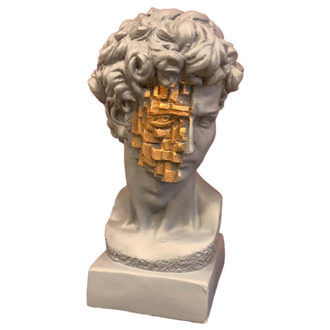 David of Michelangelo Bust- Gray gold