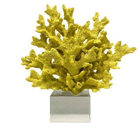 Coral Decor-Yellow